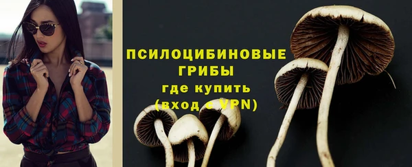 СК Володарск