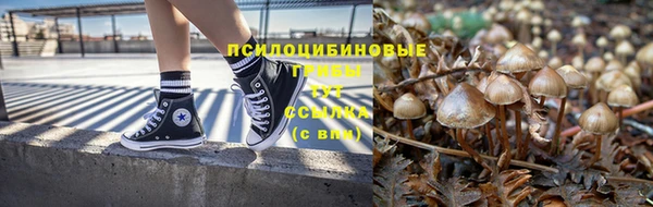 СК Володарск