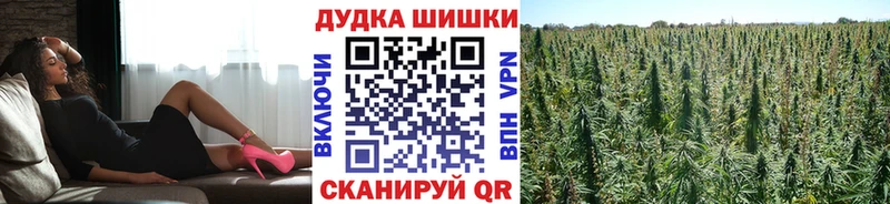 Шишки марихуана Amnesia  мега tor  Суворов  цена  